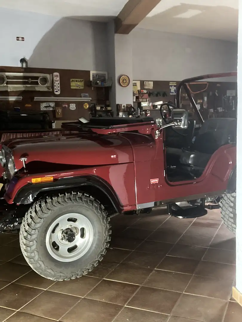 Jeep CJ-5 - 1