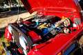 Jeep CJ-5 - thumbnail 17