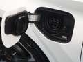 CUPRA Leon 1.4 e-hybrid dsg Bianco - thumbnail 7