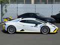 Lamborghini Huracán Huracan STO FULL CARBON LIFTING CARBON TWILL PACK Alb - thumbnail 6