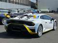Lamborghini Huracán Huracan STO FULL CARBON LIFTING CARBON TWILL PACK Alb - thumbnail 9