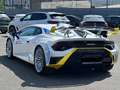 Lamborghini Huracán Huracan STO FULL CARBON LIFTING CARBON TWILL PACK Alb - thumbnail 12