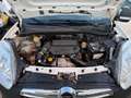 Opel Combo 1.3 Mjet Blanc - thumbnail 12