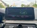BMW 545 e xDri*Luxury Line*Glass Dach*Head Up*Laser Blau - thumbnail 32