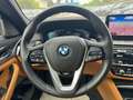 BMW 545 e xDri*Luxury Line*Glass Dach*Head Up*Laser Blau - thumbnail 19