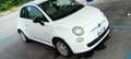 Fiat 500 500 III 1.3 mjt 16v Pop 75cv Bianco - thumbnail 8