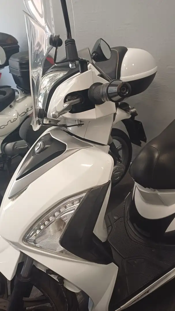 SYM Symphony 50 Biały - 2