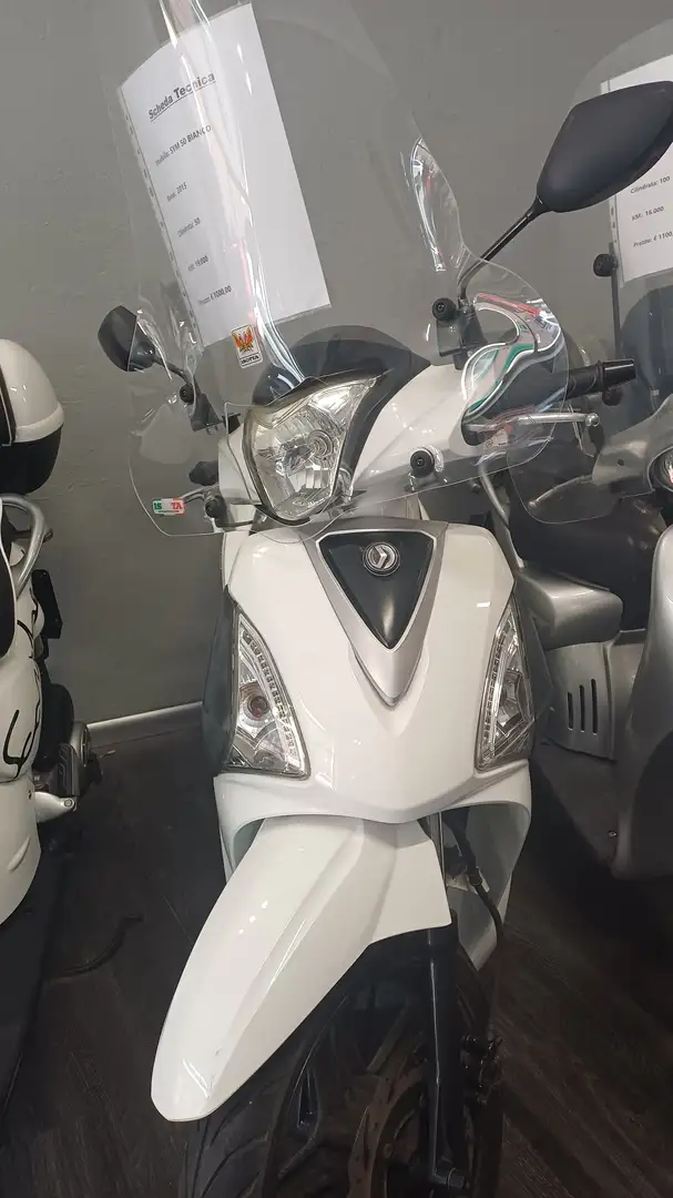 SYM Symphony 50 Biały - 1