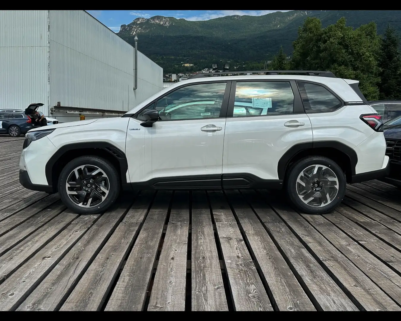Subaru Forester MY 25 FREE Bianco - 2
