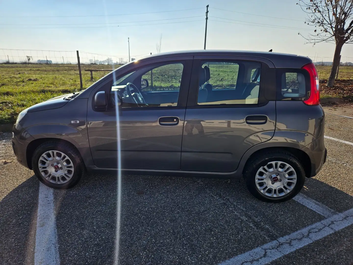 Fiat Panda Panda 1.0 FireFly S&S Hybrid Grigio - 2