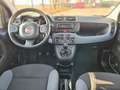 Fiat Panda Panda 1.0 FireFly S&S Hybrid Grigio - thumbnail 5