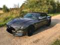 Ford Mustang Convertible 5.0 Ti-VCT V8 Aut. GT siva - thumbnail 7