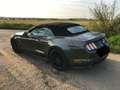 Ford Mustang Convertible 5.0 Ti-VCT V8 Aut. GT Сірий - thumbnail 6