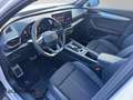 CUPRA Formentor 2.0 4Drive*Navi*LED*Winter*Full-Link* Weiß - thumbnail 8