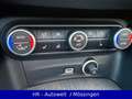 Alfa Romeo Stelvio Lusso Q4* 1.HAND*MwSt*20"QV FELGE*LEDER* Grau - thumbnail 27