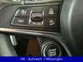 Alfa Romeo Stelvio Lusso Q4* 1.HAND*MwSt*20"QV FELGE*LEDER* Grau - thumbnail 35