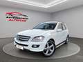 Mercedes-Benz ML 320 CDI Edition 10*4-M.*OFF-ROAD*SHD*NAVI*AHK Blanc - thumbnail 1