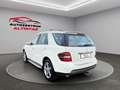 Mercedes-Benz ML 320 CDI Edition 10*4-M.*OFF-ROAD*SHD*NAVI*AHK Blanc - thumbnail 4