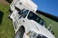 Ford F 350 V8,Diesel mit Wohnanhänger NEU, generalüber. Blanc - thumbnail 14