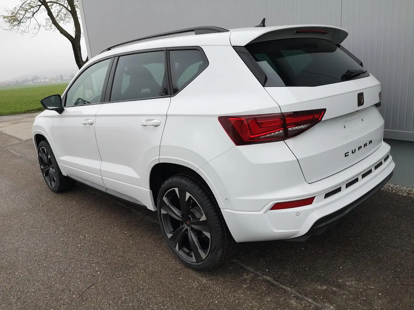 CUPRA Ateca 1.5TSI 19 Zoll Navi ACC GV5 110 kW (150 PS), Au... Weiß - 2