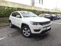 Jeep Compass 1.4 MultiAir 2WD Business Bianco - thumbnail 4