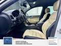 Volkswagen Touareg V6 TDI BMT Exclusive Luftfederung Weiß - thumbnail 14