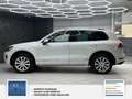 Volkswagen Touareg V6 TDI BMT Exclusive Luftfederung Weiß - thumbnail 4