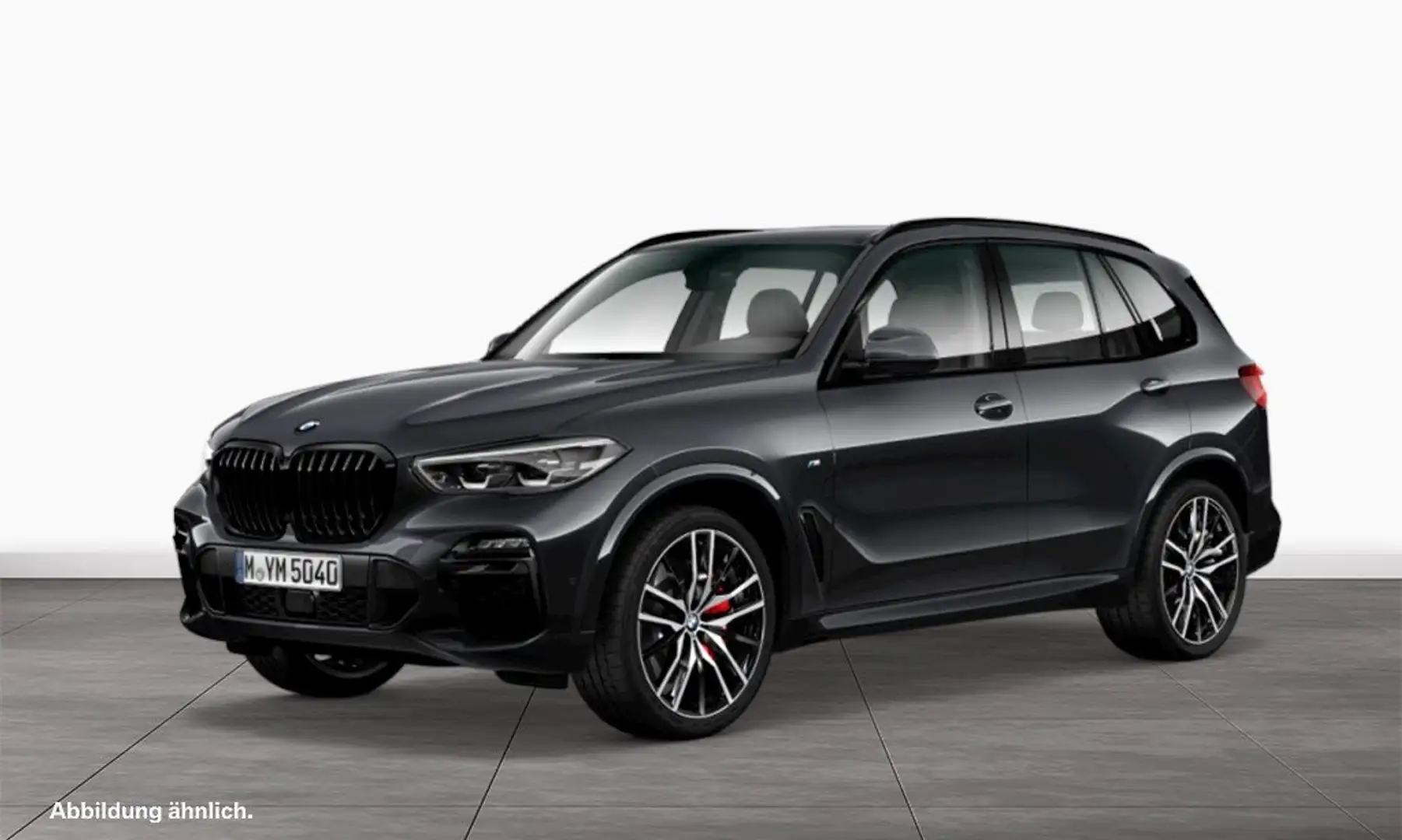 BMW X5 xDrive40i M Sportpaket Harman/Kardon Parkass. DAB Grau - 1