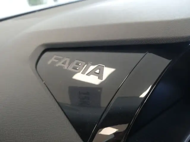 Skoda Fabia view 15