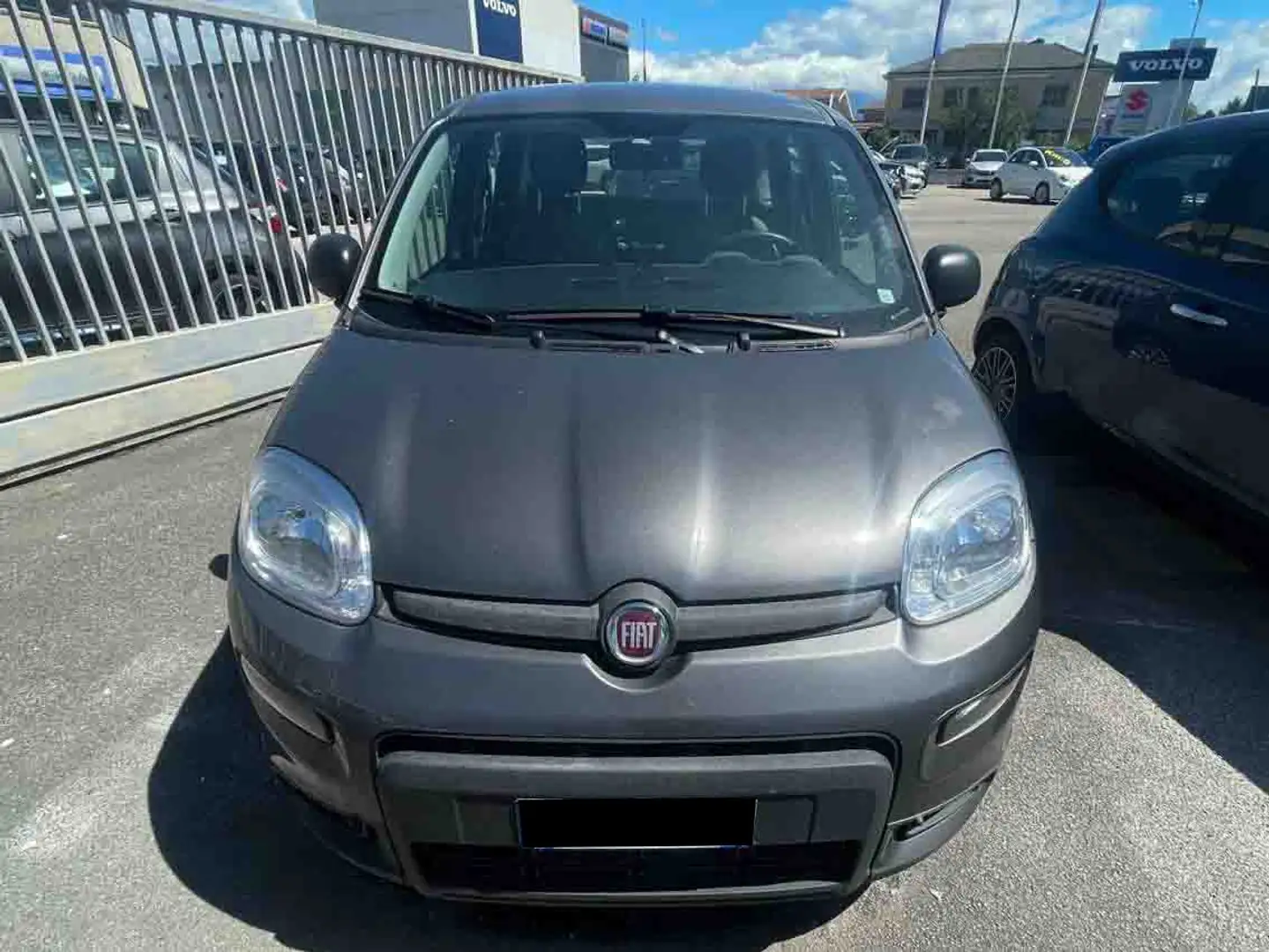 Fiat Panda 1.0 firefly hybrid s&s Grigio - 2