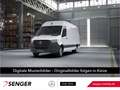 Mercedes-Benz Sprinter 519 CDI KA L3H2 Standhzg REGALE AHK3,5t Weiß - thumbnail 1