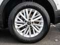 Volkswagen T-Roc 1.0 TSI Life  KLIMAA. LED LM PDC Weiß - thumbnail 7