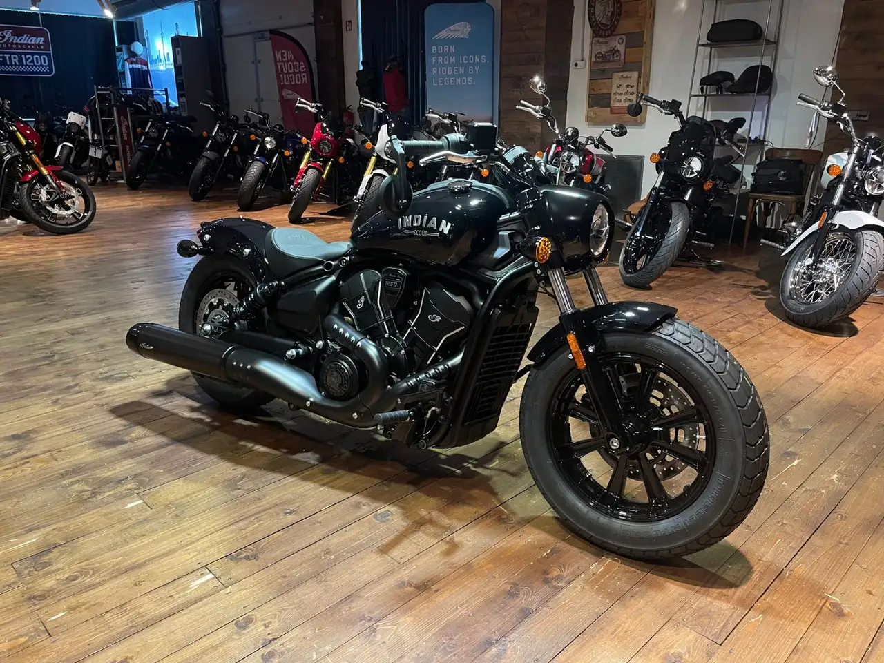 Indian Scout