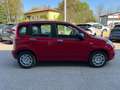 Fiat Panda 1.0 FireFly Hybrid Rosso - thumbnail 11