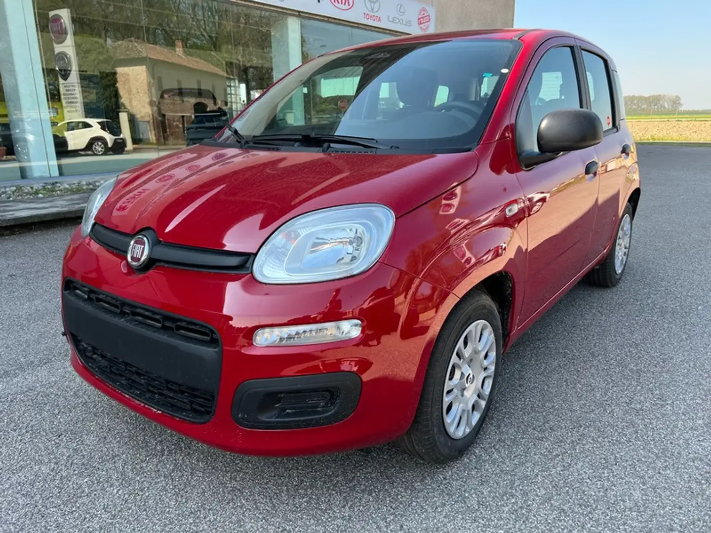 Fiat Panda My25 1.0 70cv Hybrid Panda Rosso - 1