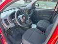Fiat Panda 1.0 FireFly Hybrid Rosso - thumbnail 15