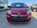 Fiat Panda 1.0 FireFly Hybrid Rosso - thumbnail 2