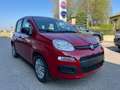 Fiat Panda 1.0 FireFly Hybrid Rosso - thumbnail 12