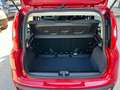 Fiat Panda 1.0 FireFly Hybrid Rosso - thumbnail 9