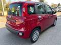 Fiat Panda 1.0 FireFly Hybrid Rosso - thumbnail 10