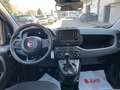 Fiat Panda 1.0 FireFly Hybrid Rosso - thumbnail 5