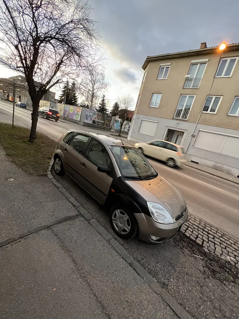 Ford Fiesta Ghia 1,4 TDCi - 2