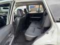 Suzuki Grand Vitara Grand Vitara 1.9 DDiS 5 porte Offroad Bianco - thumbnail 6