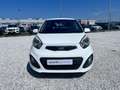 Kia Picanto 1.0 City 5p my13 Bianco - thumbnail 6
