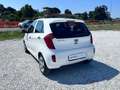 Kia Picanto 1.0 City 5p my13 Bianco - thumbnail 2