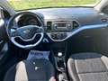 Kia Picanto 1.0 City 5p my13 Bianco - thumbnail 13