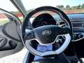 Kia Picanto 1.0 City 5p my13 Bianco - thumbnail 14