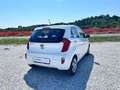 Kia Picanto 1.0 City 5p my13 Bianco - thumbnail 4