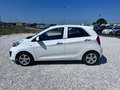 Kia Picanto 1.0 City 5p my13 Bianco - thumbnail 8