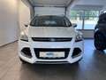 Ford Kuga Titanium*Navi* Weiß - thumbnail 2